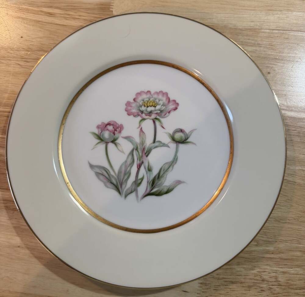 Mikado China HARMONY 10.5" Dinner Plate Occupied Japan Floral Gold Gilt Vintage